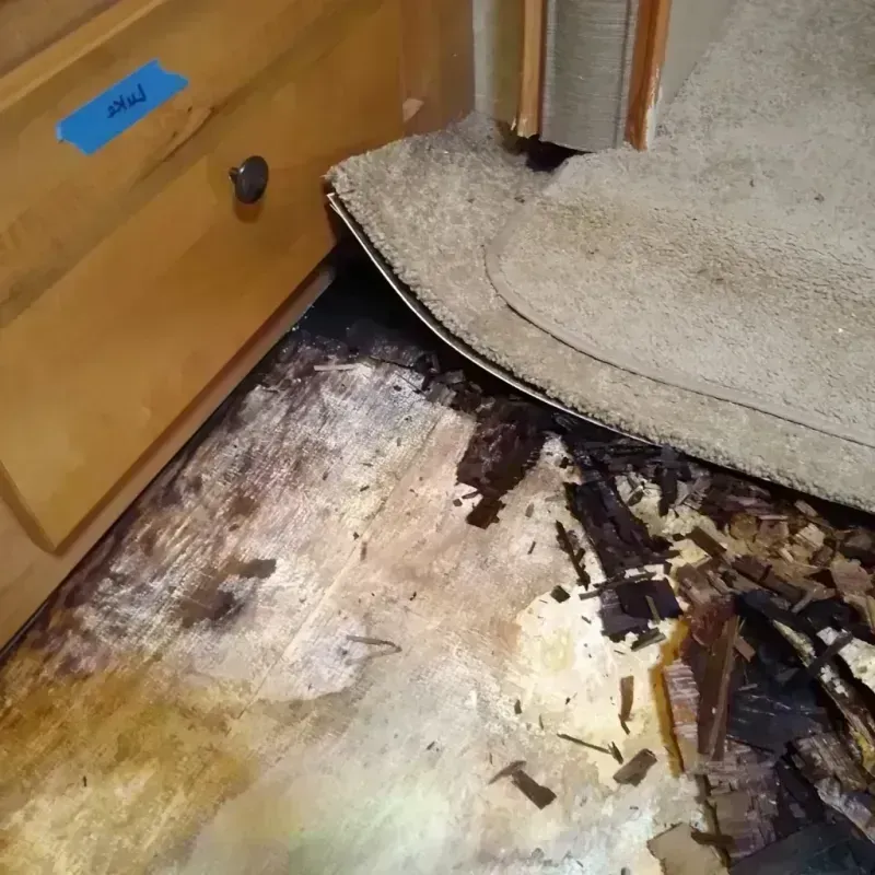 Wood Floor Water Damage in Burlington, IA